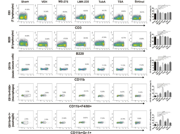 Flow Cytometry using Gr-1 FITC